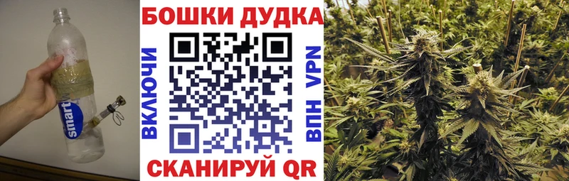 Где купить Бакал АМФ  Меф  APVP  MEGA   COCAIN  Канабис  Псилоцибиновые грибы 