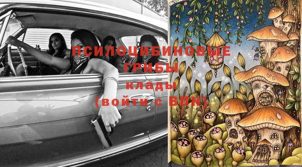 дурь Алексеевка