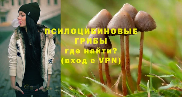 прущий лед Алексин